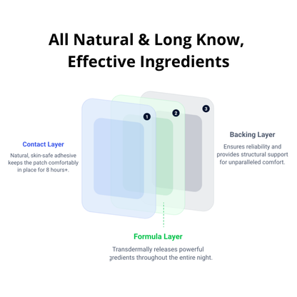 10PCS Natural Herbal Detox Patches